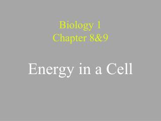 Biology 1 Chapter 8&amp;9