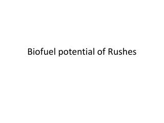 Biofuel potential of Rushes
