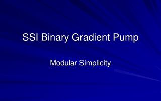 SSI Binary Gradient Pump