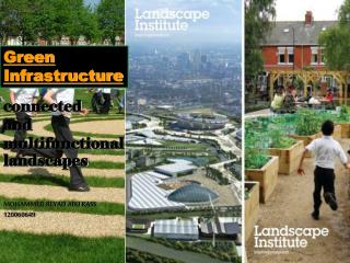 : connected and multifunctional landscapes