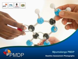 Mpumalanga PMDP