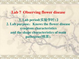 Lab 7 Observing flower disease 1. Lab period( 实验学时 ) 2
