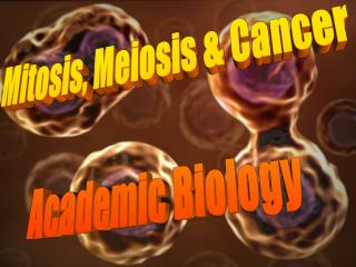 Mitosis, Meiosis &amp; Cancer Academic Biology