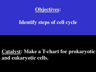 Objectives : Identify steps of cell cycle