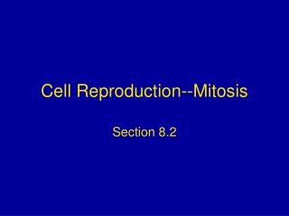 Cell Reproduction--Mitosis