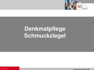 Denkmalpflege Schmuckziegel