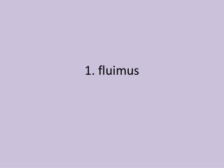 1. fluimus