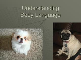 Understanding Body Language