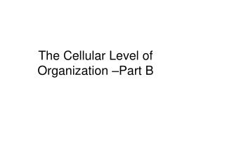 The Cellular Level of Organization –Part B