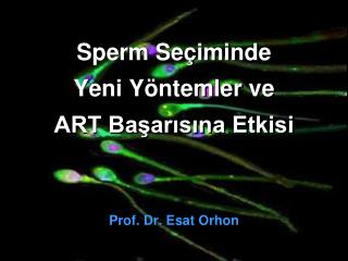 Sperm Seçiminde Yeni Yöntemler ve ART Başarısına Etkisi