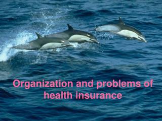Organization and problems of health insurance