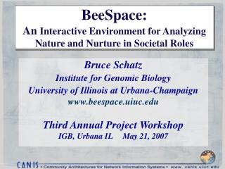 BeeSpace: An Interactive Environment for Analyzing Nature and Nurture in Societal Roles