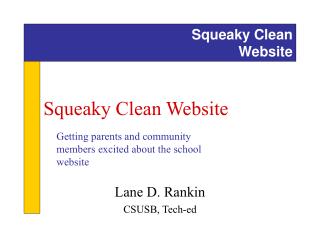 Squeaky Clean Website