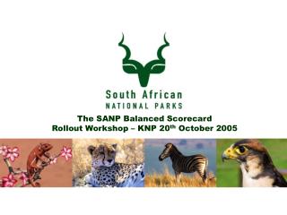 The SANP Balanced Scorecard Rollout Workshop – KNP 20 th October 2005