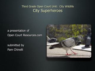 Third Grade Open Court Unit: City Wildlife City Superheroes
