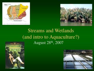 Streams and Wetlands (and intro to Aquaculture?)