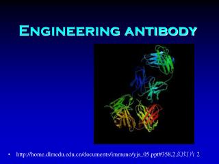 Engineering antibody