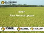 BASF Rice Product Update