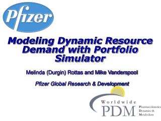 Modeling Dynamic Resource Demand with Portfolio Simulator