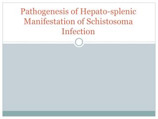 Pathogenesis of Hepato-splenic Manifestation of Schistosoma Infection