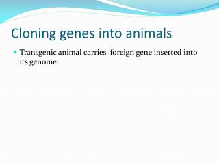 Cloning genes into animals
