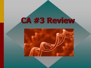 CA #3 Review