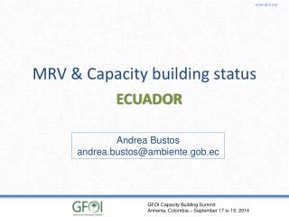 MRV & Capacity building status