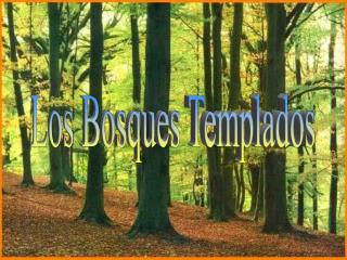 Los Bosques Templados