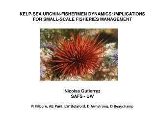 KELP-SEA URCHIN-FISHERMEN DYNAMICS: IMPLICATIONS FOR SMALL-SCALE FISHERIES MANAGEMENT