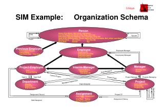 SIM Example:	Organization Schema