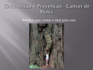 Circuncisão e Prevenção - Cancer de Pênis