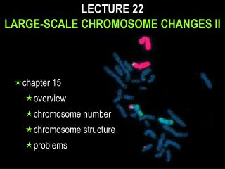 LECTURE 22 LARGE-SCALE CHROMOSOME CHANGES II