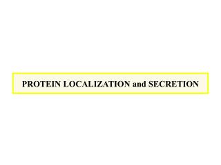 PROTEIN LOCALIZATION and SECRETION