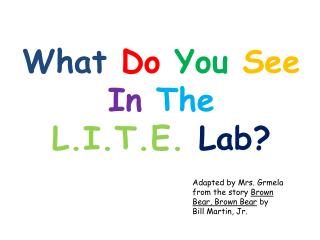 What Do You See In The L.I.T.E. Lab?