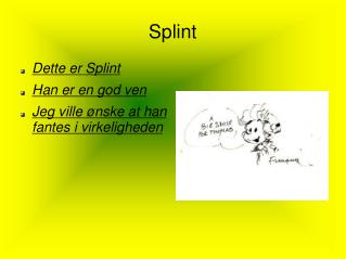 Splint