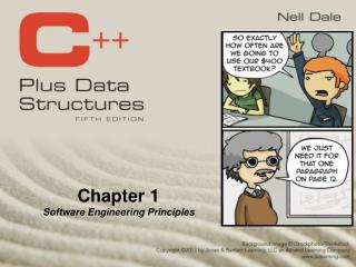 Chapter 1 Software Engineering Principles