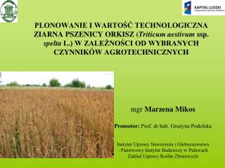 mgr Marzena Mikos Promotor: Prof. dr hab. Grażyna Podolska