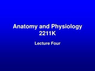 Anatomy and Physiology 2211K