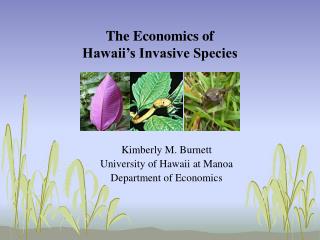 The Economics of Hawaii’s Invasive Species