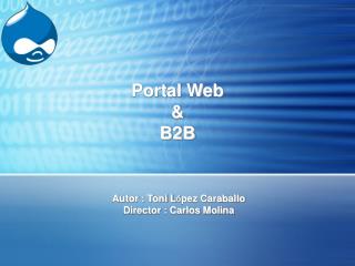 Portal Web &amp; B2B