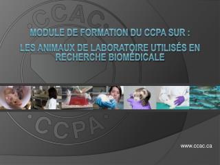 MODULE DE FORMATION DU CCPA sur : les animaux de laboratoire utilisés en recherche biomédicale