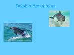 Dolphin Researcher
