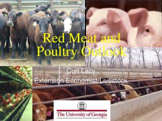 Red Meat and Poultry Outlook