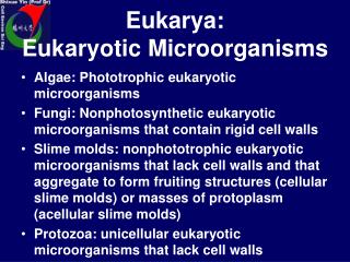 Eukarya: Eukaryotic Microorganisms