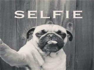 - Selfies are often shared on social networking services such as Instagram, Snapchat, and Tumblr
