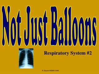 Respiratory System #2
