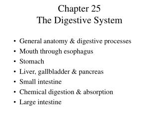 Chapter 25 The Digestive System