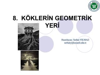 8. KÖKLERİN GEOMETRİK YERİ