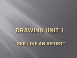 DRAWING UNIT 1 “see like an artist”