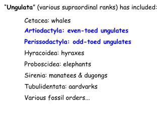 “ Ungulata ” (various supraordinal ranks) has included: